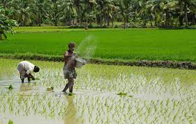 Agriculture